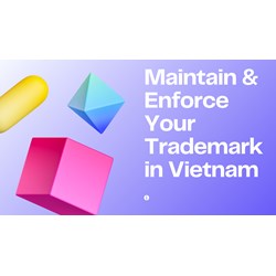 Maintaining and Enforcing Your Trademark Registration in Vietnam