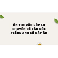 Ôn thi vào lớp 10 chuyên đề Câu ước tiếng Anh có đáp án