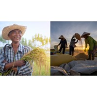 Tả bác nông dân đang làm việc hay nhất - Tập làm văn lớp 5