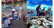 Bảo vệ môi trường và nguồn lợi thuỷ sản - Công nghệ lớp 7