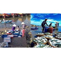 Bảo vệ môi trường và nguồn lợi thuỷ sản - Công nghệ lớp 7