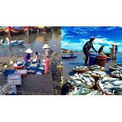 Bảo vệ môi trường và nguồn lợi thuỷ sản - Công nghệ lớp 7