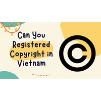 Can You Register Copyright in Vietnam? A Guide by Applicant Type