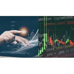 Nhà đầu tư được hưởng những quyền lợi gì khi mua trái phiếu?