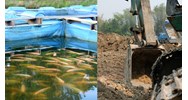 Đào ao nuôi cá trên đất trồng cây lâu năm có phải xin phép không?