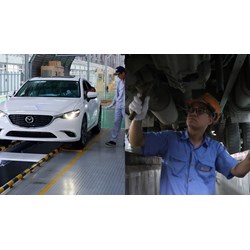 Hướng dẫn in giấy xác nhận gia hạn thời hạn đăng kiểm xe ô tô