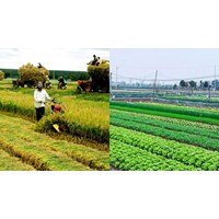 Đất công ích của xã khi bị thu hồi có được bồi thường hay không?