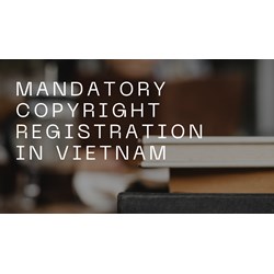 Protect Works: Mandatory Copyright Registration Cases in Vietnam