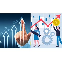 Vai trò của người lao động đến kinh tế vĩ mô?