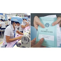 Khi nào người lao động không phải đóng BHXH bắt buộc?