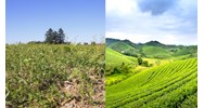 Thẩm quyền thu hồi đất theo luật hiện hành như thế nào?