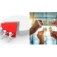Giải mã bản chất hợp đồng góp vốn: Hiểu rõ quyền lợi và nghĩa vụ