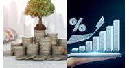Các loại hình doanh nghiệp công ty nào có vốn đầu tư nước ngoài?