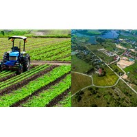 Thủ tục sang tên đất nông nghiệp cập nhật mới nhất năm 2024