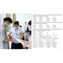 Đề thi thử Tiếng Anh vào lớp 10 Nam Định có đáp án mới nhất