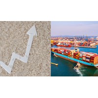 Thủ tục thành lập công ty xuất khẩu nông sản như thế nào?