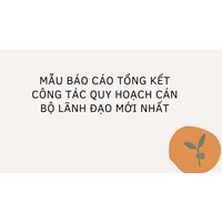Mẫu báo cáo tổng kết công tác quy hoạch cán bộ lãnh đạo mới nhất