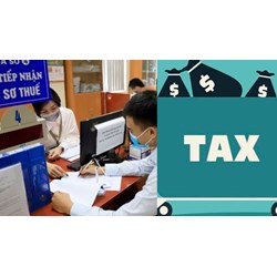 Hoạt động kinh doanh vận tải cần đóng những loại thuế nào?