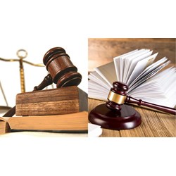 Việc ra quyết định xử phạt hành chính cần dựa trên nguyên tắc nào?