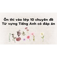 Ôn thi vào lớp 10 chuyên đề Từ vựng Tiếng Anh có đáp án