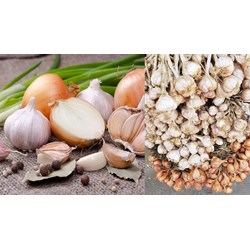 Đăng ký thương hiệu cho hành, tỏi - Bảo vệ giá trị nông sản Việt