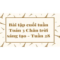 Bài tập cuối tuần Toán lớp 3 Chân trời sáng tạo - Tuần 28 có đáp án