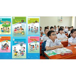 Đề cương ôn tập học kì 2 lớp 2 sách Cánh Diều mới nhất