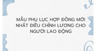 Mẫu phụ lục hợp đồng mới nhất điều chỉnh lương cho người lao động