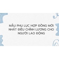 Mẫu phụ lục hợp đồng mới nhất điều chỉnh lương cho người lao động