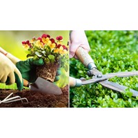 Đăng ký nhãn hiệu dịch vụ làm vườn - Nâng cao giá trị thương hiệu