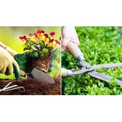 Đăng ký nhãn hiệu dịch vụ làm vườn - Nâng cao giá trị thương hiệu