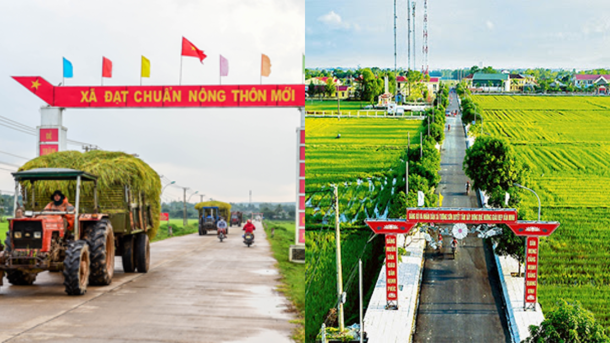 https://cdn.luatminhkhue.vn/lmk/articles/105/528755/tieu-chuan-ky-thuat-mat-duong-giao-thong-nong-thon-528755.jpg