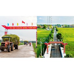 Tiêu chuẩn kỹ thuật mặt đường giao thông nông thôn cập nhật mới nhất