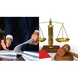 Dự án luật trước khi trình Quốc hội phải được cơ quan nào thẩm tra?