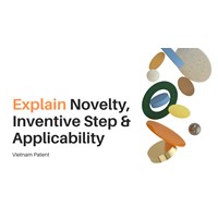 Vietnam Patent: Explain Novelty, Inventive Step & Applicability