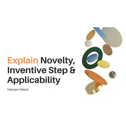 Vietnam Patent: Explain Novelty, Inventive Step & Applicability