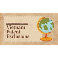 Vietnam Patent Exclusions: What Discoveries Can't Be Patented?