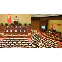 Các Ủy ban của Quốc hội gồm có những Ủy ban nào?