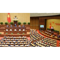 Các Ủy ban của Quốc hội gồm có những Ủy ban nào?