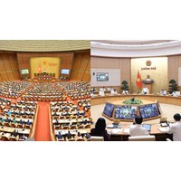 Quốc hội quyết định cơ cấu tổ chức của Chính phủ theo trình tự nào?