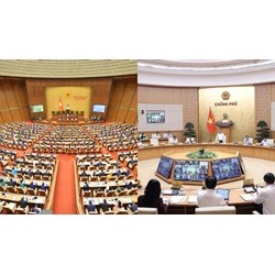 Quốc hội quyết định cơ cấu tổ chức của Chính phủ theo trình tự nào?