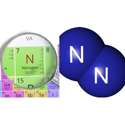 N2 thể hiện tính khử trong phản ứng với? - Hoá học 11