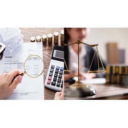 Định giá tang vật trong luật xử lý vi phạm hành chính như thế nào?