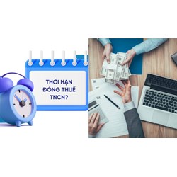 Thời hạn nộp thuế TNCN từ chuyển nhượng cổ phần là bao lâu?