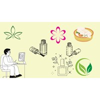 Quyền sở hữu công nghiệp đối với nhãn hiệu: Căn cứ xác lập, quyền ưu tiên đăng ký