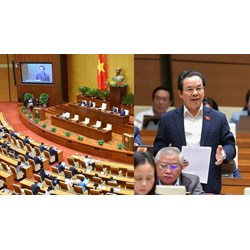 Mỗi tỉnh, thành phố có ít nhất bao nhiêu đại biểu Quốc hội?