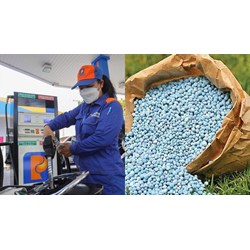 Thuế suất thuế giá trị gia tăng phân bón và xăng dầu là bao nhiêu?