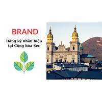 Đăng ký nhãn hiệu tại Cộng hòa Séc - Bảo vệ thương hiệu quốc tế