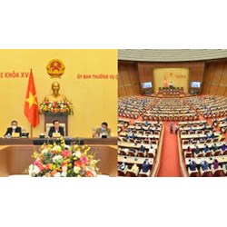 Họp Quốc hội bất thường bầu Chủ tịch nước mới được không?