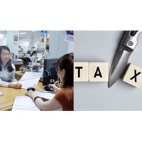 Thử việc có được giảm trừ gia cảnh khi tính thuế thu nhập cá nhân?